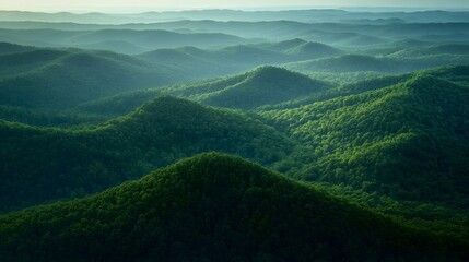 Naklejka premium Aerial View of Rolling Green Hills and Lush Forest