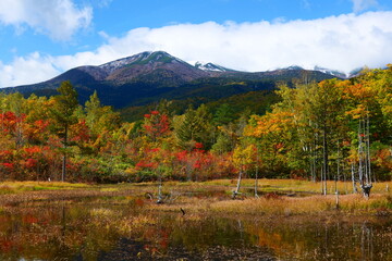秋の乗鞍高原。松本、長野、日本。10月中旬。