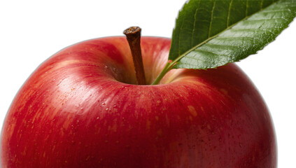 Red apple on white background