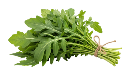Isolated Arugula Bunch