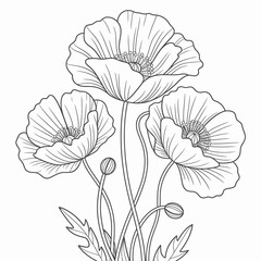 vector poppy flower