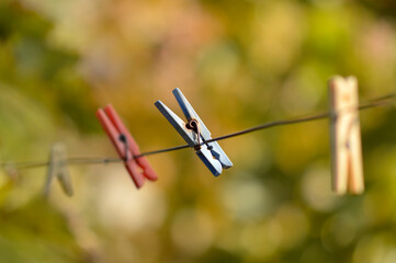 colorful plastic clothes clips hanging on the metal rope