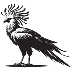 black Secretary Bird  Silhouette Vector, High Quality Illustration on White Background