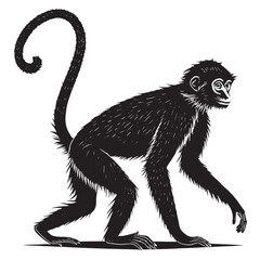 Fototapeta premium black spider monkey Silhouette Vector, High Quality Illustration on White Background