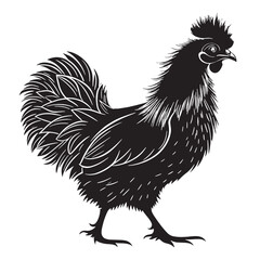 black silkie chicken Silhouette Vector, High Quality Illustration on White Background