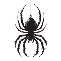 black Spider hanging Silhouette Vector, High Quality Illustration on White Background