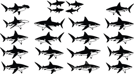 Shark silhouettes collection featuring hammerhead, great white, and tiger sharks — ocean predator vector illustrations for marine wildlife designs