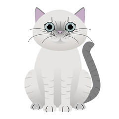 png image illustration of siamese cat sitting