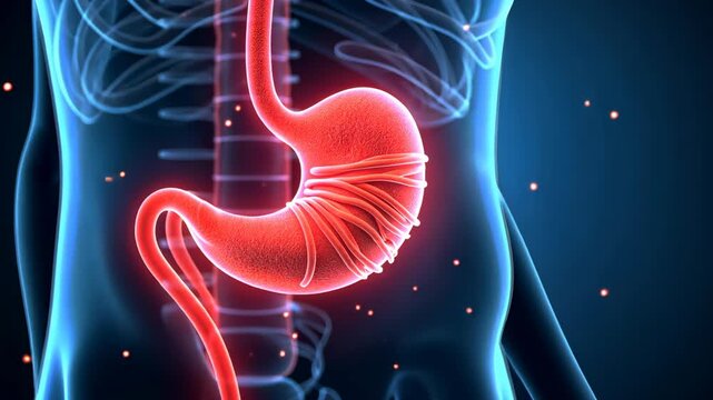 Pancreas pain, abdominal discomfort, digestive enzymes. Organ health. Glands inflame during acute episodes. Tissue swelling disrupts digestion. Chronic symptoms necessitate diet change.