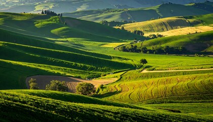 Fototapeta premium Lush green hills and rolling fields, showcasing a tranquil countryside landscape.