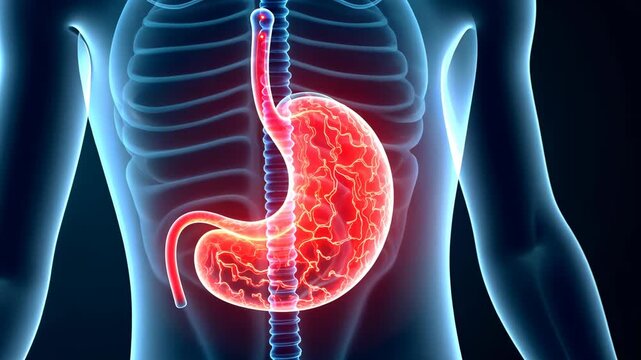 Pancreas pain, abdominal discomfort, digestive issues. Organ inflammation. Stomach aches disrupt daily activities. Gallbladder removal eases bile flow. Diabetes management requires regular monitoring.