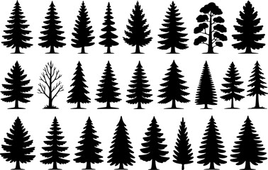 Pine Tree  , forest, nature  black vector bundle design graphics