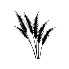 Pampas grass black design