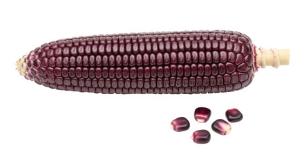 Isolated Purple Corn with Seeds