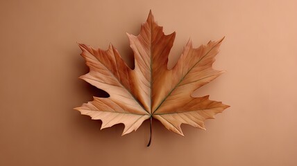 Autumn leaves falling natural setting captivating leaf art close-up nature's beauty