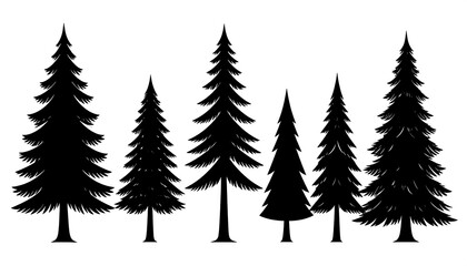 Silhouette Collection of Diverse Evergreen Pine Trees on White Background.