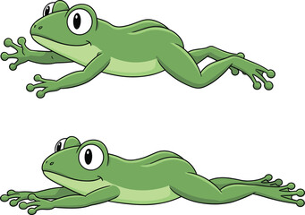Cartoon frogs stretched out, green amphibians, expressive eyes, playful vector, identical pose, nature character, animal illustration, frog anatomy