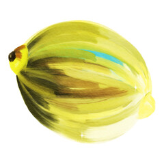 Lemon Fruit Design Vector Illustration