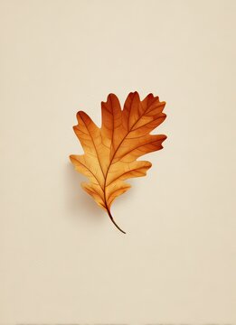 Autumn leaf falling nature close-up autumn season minimalist aesthetic still life