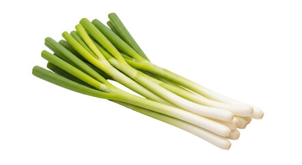 Isolated Green Onion