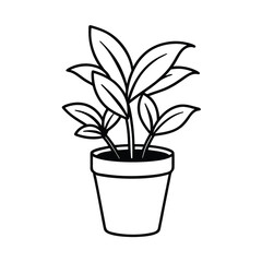 drawing of houseplant in pot on white background