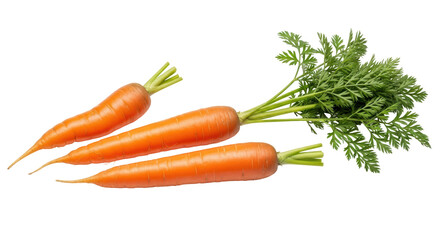Isolated Carrots With Tops