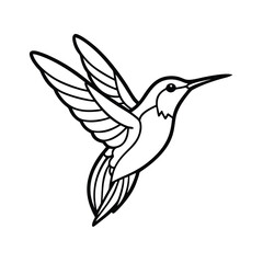 elegant hummingbird line drawing on white background 