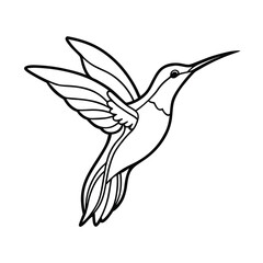 elegant hummingbird line drawing on white background 