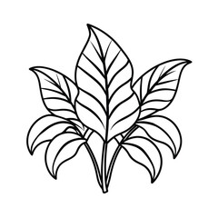 exotic foliage outline graphic on white background