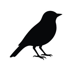 A simple black silhouette of a bird standing