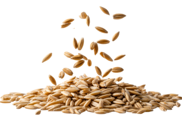 Perfectly isolated whole oat groats gently cascading down, creating beautiful display of natural grains. earthy tones and texture evoke sense of wholesome nutrition and simplicity