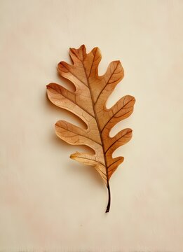 Autumn leaves falling natural setting captivating leaf art close-up nature's beauty