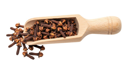 Isolated Cloves in Scoop