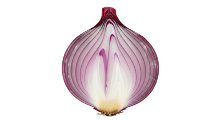 Isolated Half Red Onion