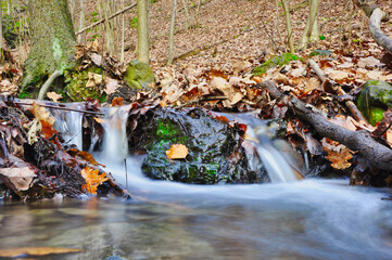Rezerwat Przyrody "Wąwóz Lipa" - Park Krajobrazowy "Chełmy". Spokojny strumień płynie łagodnie pośród natury, otoczony soczyście zielonymi, pokrytymi mchem skałami i jesiennym listowiem. © Pol Badger