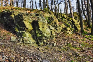 Rezerwat Przyrody 