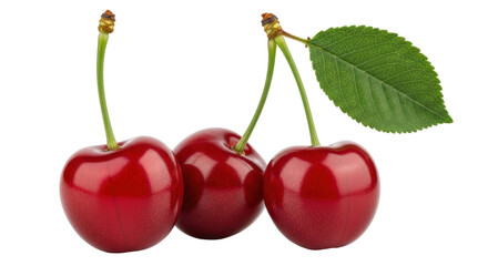 Isolated Cherries