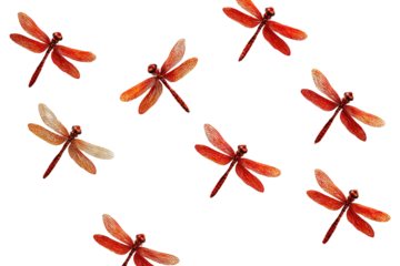 A pattern of  reddish-orange dragonflies on a black background.  The dragonflies are stylized and have a painterly, watercolor effect, with some subtle variations in color