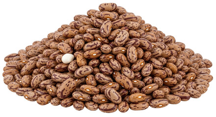 Isolated Pinto Beans