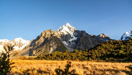 Majestic Mountains and Golden Field