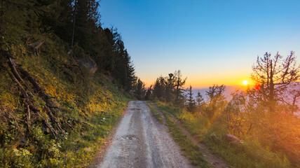 Scenic sunset on a dusty mountain road with yellow wildflowers, forest, and vibrant sky transition to orange, creating a serene atmosphere.