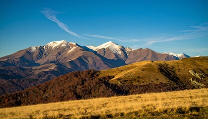 Majestic Mountains and Golden Field