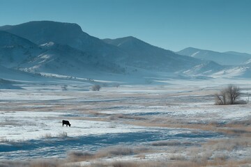 Tranquil Winter Landscape With Distant Mountainous Scenery