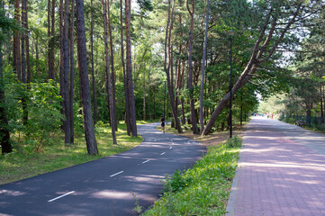 A man riding a scooter along the EuroVelo 10 route along the Baltic Sea
