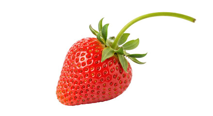 Isolated Strawberry with Stem