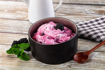 Organic tasty dairy yoghurt with blackberry