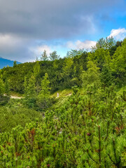 Lonely tourist walking along mountain hiking trail near High Tatras peaks, lush greenery valley....