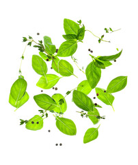 Flying fresh basil leaves with peppercorns and thyme on white background