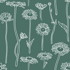 Seamless background pattern Daisies in the field. White linear outline daisies on green background, pastel colors, pale tints of colors. Chamomile flowers medicinal. Daisy flower background