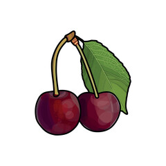 Realistic red cherry with black outline